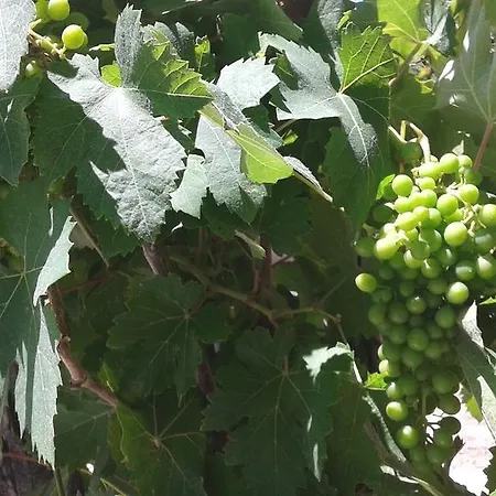 Costiera Del Cilento *